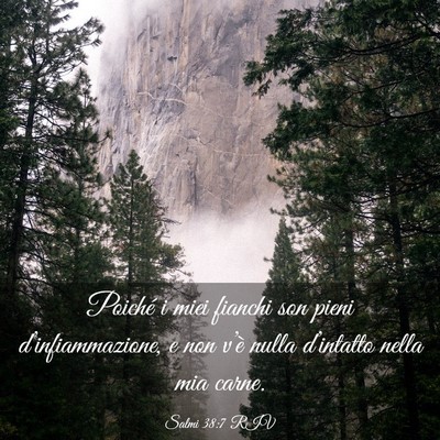 Picture 03 - Salmi 38:7 RIV - Poiché i miei fianchi son pieni - Bible Verse Picture