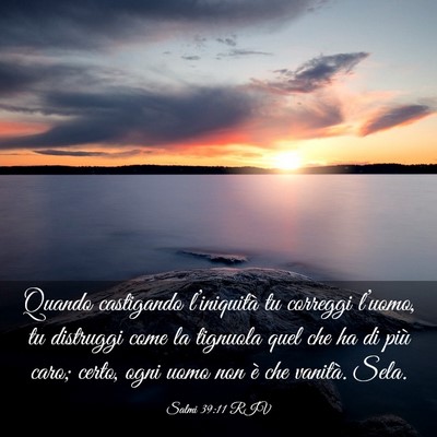 Picture 03 - Salmi 39:11 RIV - Quando castigando l’iniquità tu correggi - Bible Verse Picture