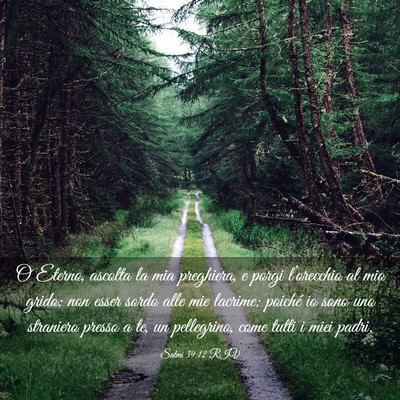 Picture 03 - Salmi 39:12 RIV - O Eterno, ascolta la mia preghiera, e porgi - Bible Verse Picture
