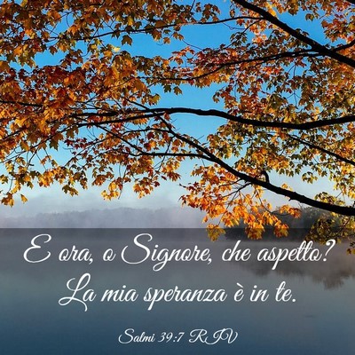 Picture 03 - Salmi 39:7 RIV - E ora, o Signore, che aspetto? La mia speranza è - Bible Verse Picture