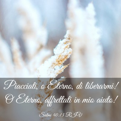 Picture 03 - Salmi 40:13 RIV - Piacciati, o Eterno, di liberarmi! O Eterno, - Bible Verse Picture