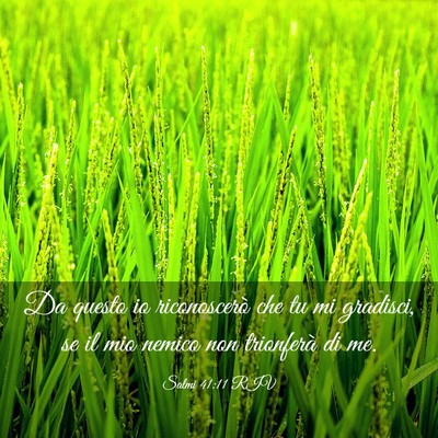 Picture 03 - Salmi 41:11 RIV - Da questo io riconoscerò che tu mi gradisci, se - Bible Verse Picture