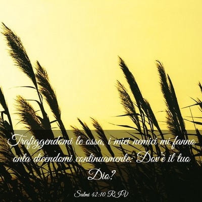 Picture 03 - Salmi 42:10 RIV - Trafiggendomi le ossa, i miei nemici mi fanno - Bible Verse Picture
