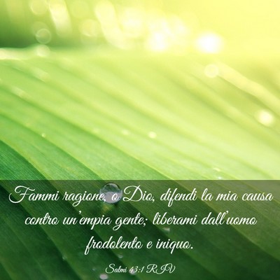 Picture 03 - Salmi 43:1 RIV - Fammi ragione, o Dio, difendi la mia causa contro - Bible Verse Picture