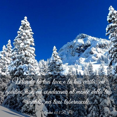 Picture 03 - Salmi 43:3 RIV - Manda la tua luce e la tua verità; mi guidino - Bible Verse Picture
