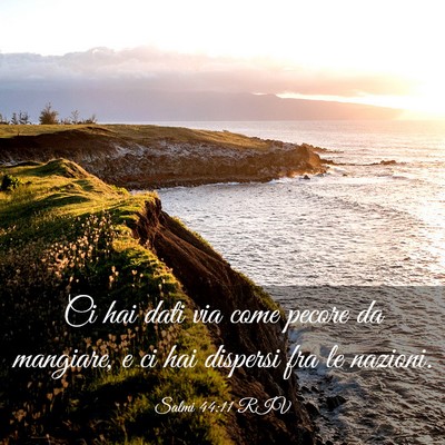 Picture 03 - Salmi 44:11 RIV - Ci hai dati via come pecore da mangiare, e ci hai - Bible Verse Picture