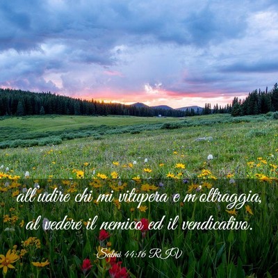 Picture 03 - Salmi 44:16 RIV - all’udire chi mi vitupera e m’oltraggia, al - Bible Verse Picture