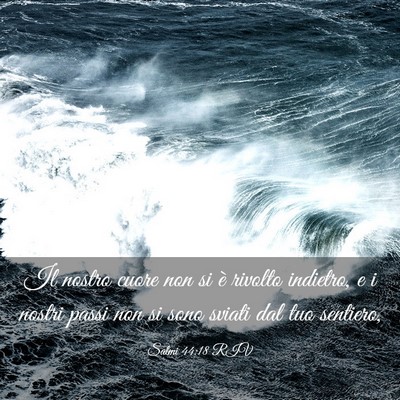 Picture 03 - Salmi 44:18 RIV - Il nostro cuore non si è rivolto indietro, e i - Bible Verse Picture