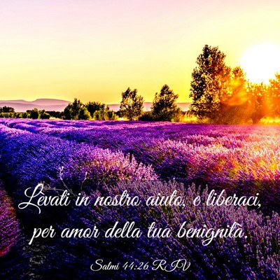 Picture 03 - Salmi 44:26 RIV - Lèvati in nostro aiuto, e liberaci, per amor - Bible Verse Picture