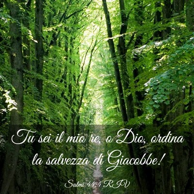 Picture 03 - Salmi 44:4 RIV - Tu sei il mio re, o Dio, ordina la salvezza di - Bible Verse Picture