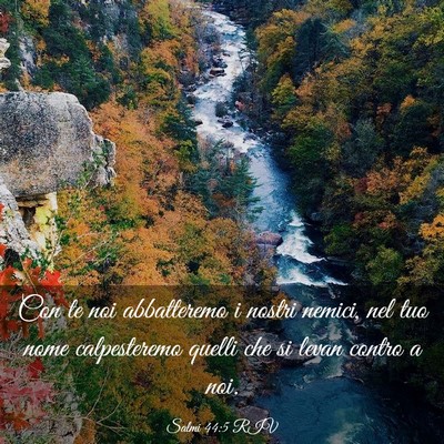 Picture 03 - Salmi 44:5 RIV - Con te noi abbatteremo i nostri nemici, nel tuo - Bible Verse Picture
