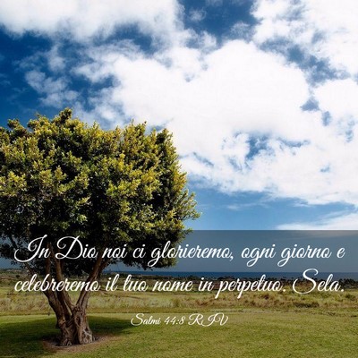 Picture 03 - Salmi 44:8 RIV - In Dio noi ci glorieremo, ogni giorno e - Bible Verse Picture