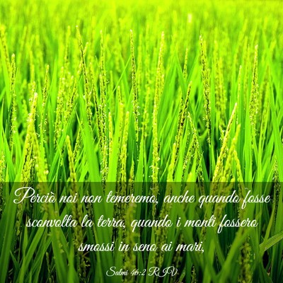 Picture 03 - Salmi 46:2 RIV - Perciò noi non temeremo, anche quando fosse - Bible Verse Picture