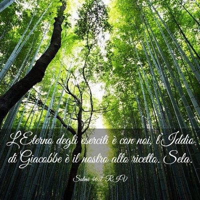 Picture 03 - Salmi 46:7 RIV - L’Eterno degli eserciti è con noi, l’Iddio - Bible Verse Picture