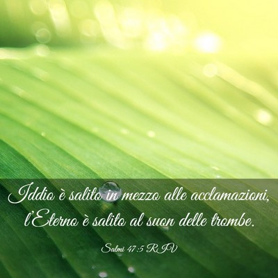 Picture 03 - Salmi 47:5 RIV - Iddio è salito in mezzo alle acclamazioni, - Bible Verse Picture