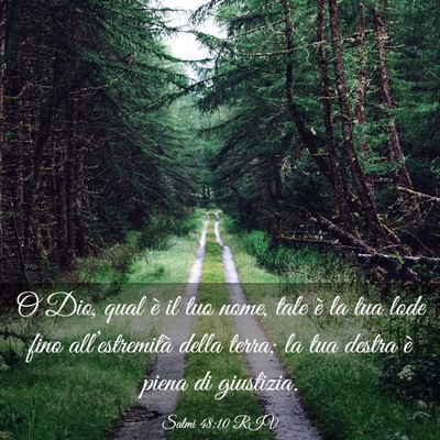 Picture 03 - Salmi 48:10 RIV - O Dio, qual è il tuo nome, tale è la tua lode - Bible Verse Picture