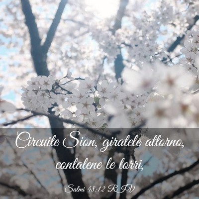 Picture 03 - Salmi 48:12 RIV - Circuite Sion, giratele attorno, contatene le - Bible Verse Picture