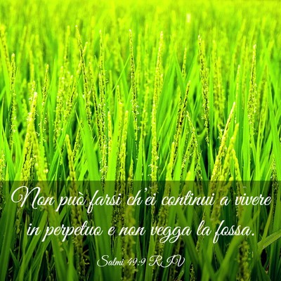 Picture 03 - Salmi 49:9 RIV - Non può farsi ch’ei continui a vivere in - Bible Verse Picture