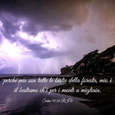 Picture 03 - Salmi 50:10 RIV - perché mie son tutte le bestie della foresta, - Bible Verse Picture