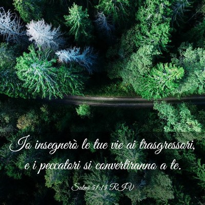 Picture 03 - Salmi 51:13 RIV - Io insegnerò le tue vie ai trasgressori, e i - Bible Verse Picture