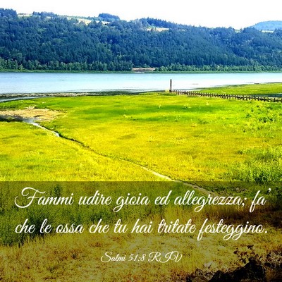 Picture 03 - Salmi 51:8 RIV - Fammi udire gioia ed allegrezza; fa’ che le - Bible Verse Picture