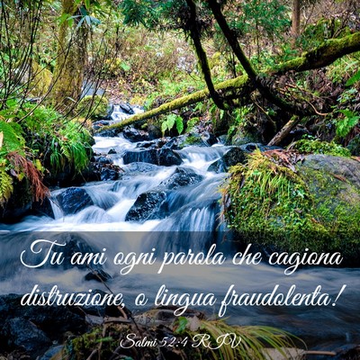 Picture 03 - Salmi 52:4 RIV - Tu ami ogni parola che cagiona distruzione, o - Bible Verse Picture