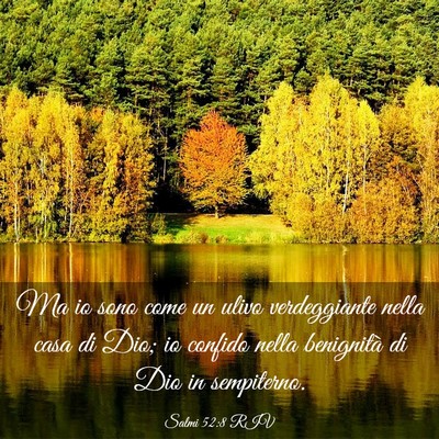Picture 03 - Salmi 52:8 RIV - Ma io sono come un ulivo verdeggiante nella casa - Bible Verse Picture