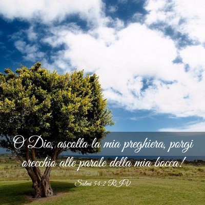 Picture 03 - Salmi 54:2 RIV - O Dio, ascolta la mia preghiera, porgi orecchio - Bible Verse Picture