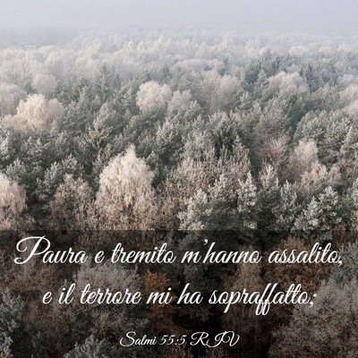 Picture 03 - Salmi 55:5 RIV - Paura e tremito m’hanno assalito, e il terrore - Bible Verse Picture