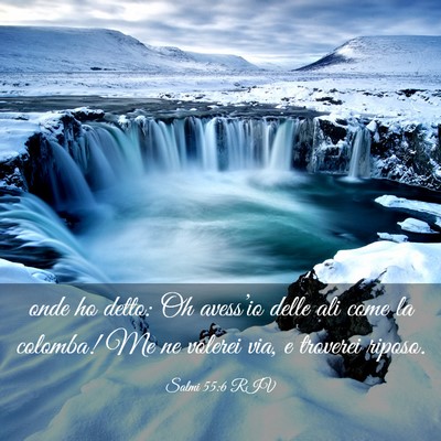 Picture 03 - Salmi 55:6 RIV - onde ho detto: Oh avess’io delle ali come la - Bible Verse Picture