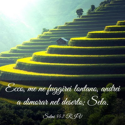 Picture 03 - Salmi 55:7 RIV - Ecco, me ne fuggirei lontano, andrei a dimorar - Bible Verse Picture
