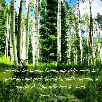 Picture 03 - Salmi 56:13 RIV - poiché tu hai riscosso l’anima mia dalla - Bible Verse Picture