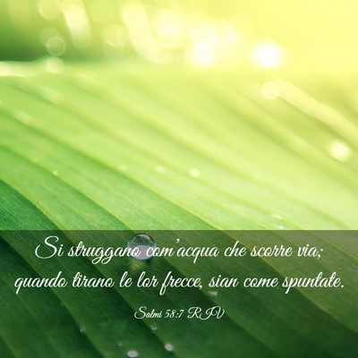 Picture 03 - Salmi 58:7 RIV - Si struggano com’acqua che scorre via; quando - Bible Verse Picture