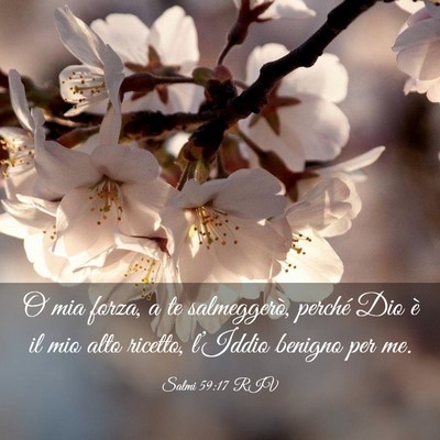 Picture 03 - Salmi 59:17 RIV - O mia forza, a te salmeggerò, perché Dio è il - Bible Verse Picture
