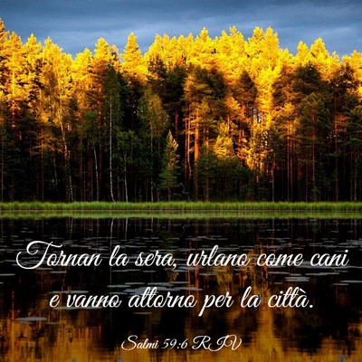 Picture 03 - Salmi 59:6 RIV - Tornan la sera, urlano come cani e vanno attorno - Bible Verse Picture