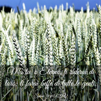 Picture 03 - Salmi 59:8 RIV - Ma tu, o Eterno, ti riderai di loro; ti farai - Bible Verse Picture