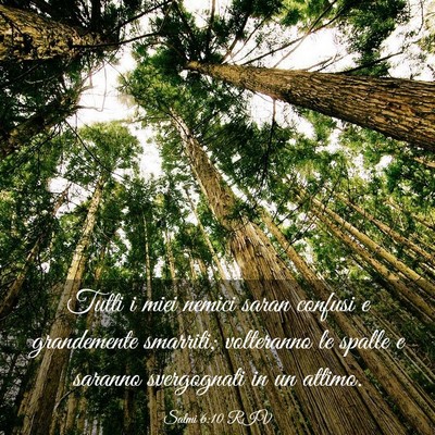 Picture 03 - Salmi 6:10 RIV - Tutti i miei nemici saran confusi e grandemente - Bible Verse Picture