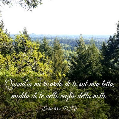 Picture 03 - Salmi 63:6 RIV - Quand’io mi ricordo di te sul mio letto, medito - Bible Verse Picture