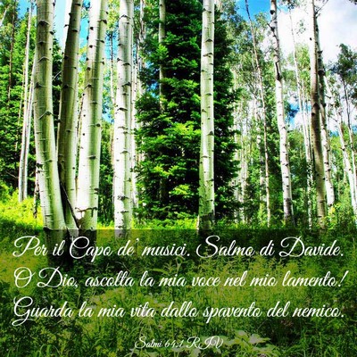 Picture 03 - Salmi 64:1 RIV - Per il Capo de’ musici. Salmo di Davide. O Dio, - Bible Verse Picture