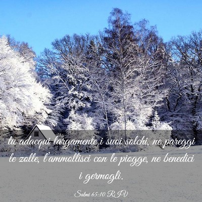 Picture 03 - Salmi 65:10 RIV - tu adacqui largamente i suoi solchi, ne pareggi - Bible Verse Picture