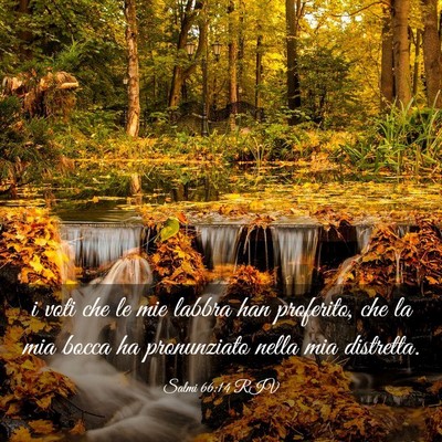 Picture 03 - Salmi 66:14 RIV - i voti che le mie labbra han proferito, che la - Bible Verse Picture