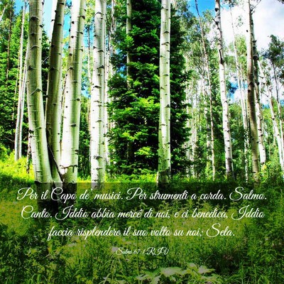 Picture 03 - Salmi 67:1 RIV - Per il Capo de’ musici. Per strumenti a corda. - Bible Verse Picture