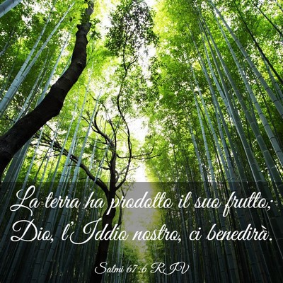 Picture 03 - Salmi 67:6 RIV - La terra ha prodotto il suo frutto; Dio, - Bible Verse Picture