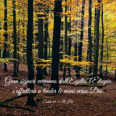 Picture 03 - Salmi 68:31 RIV - Gran signori verranno dall’Egitto, l’Etiopia - Bible Verse Picture
