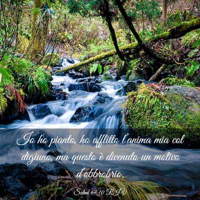 Picture 03 - Salmi 69:10 RIV - Io ho pianto, ho afflitto l’anima mia col - Bible Verse Picture