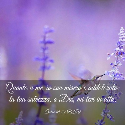 Picture 03 - Salmi 69:29 RIV - Quanto a me, io son misero e addolorato; la tua - Bible Verse Picture