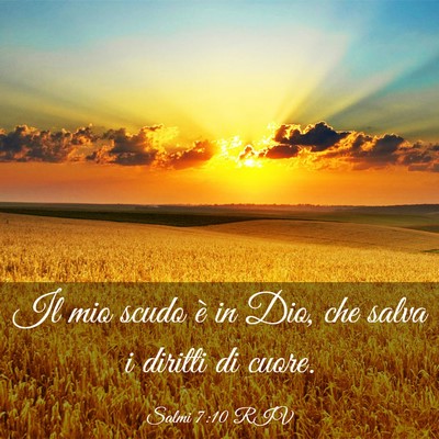 Picture 03 - Salmi 7:10 RIV - Il mio scudo è in Dio, che salva i diritti di - Bible Verse Picture