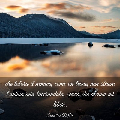 Picture 03 - Salmi 7:2 RIV - che talora il nemico, come un leone, non sbrani - Bible Verse Picture