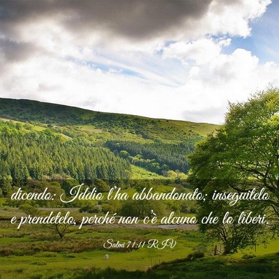 Picture 03 - Salmi 71:11 RIV - dicendo: Iddio l’ha abbandonato; inseguitelo e - Bible Verse Picture