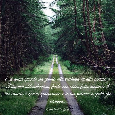 Picture 03 - Salmi 71:18 RIV - Ed anche quando sia giunto alla vecchiaia ed alla - Bible Verse Picture